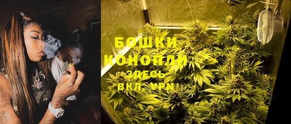 spice Алексеевка