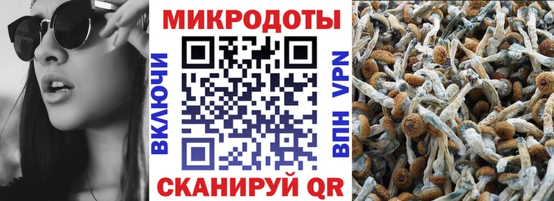 Галлюциногенные грибы Psilocybe  Нижний Тагил 